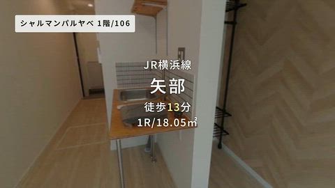 動画