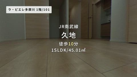 動画