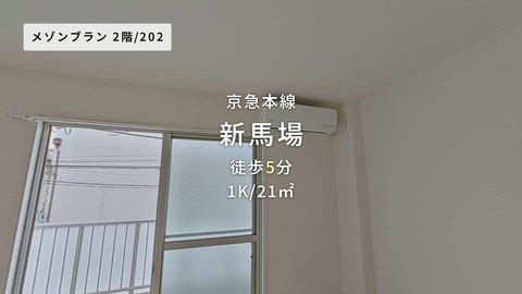 動画