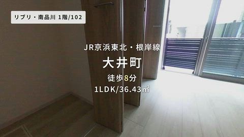 動画