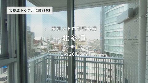 動画