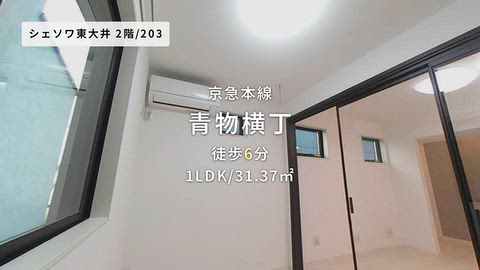 動画