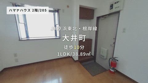動画