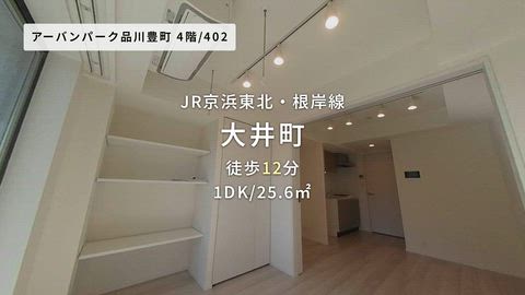 動画