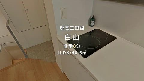 紹介ムービー