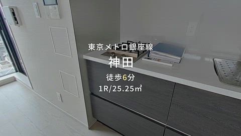 動画