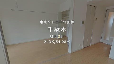 動画