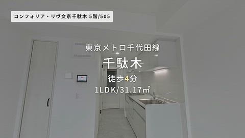 動画