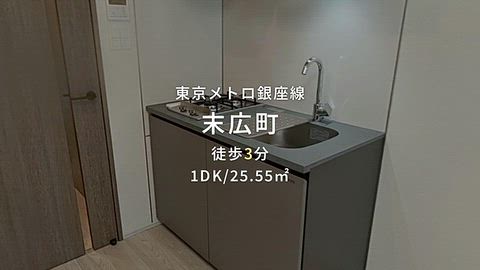 動画