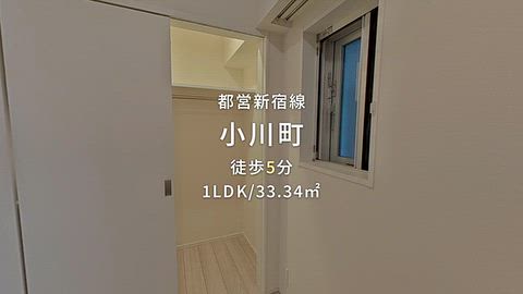 動画