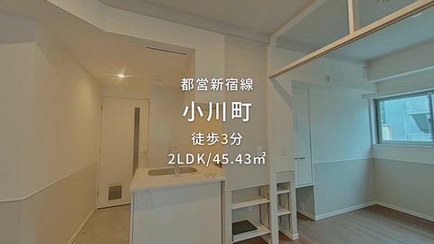 動画