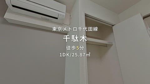 動画