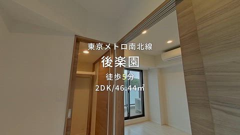 動画