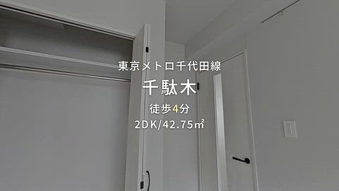 動画