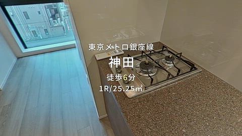 動画