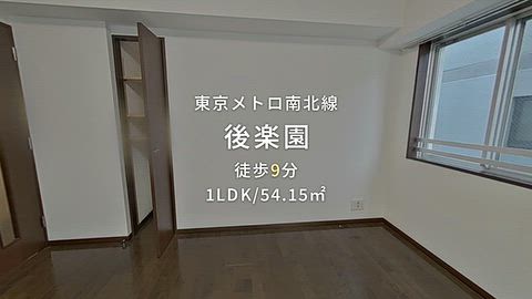 動画