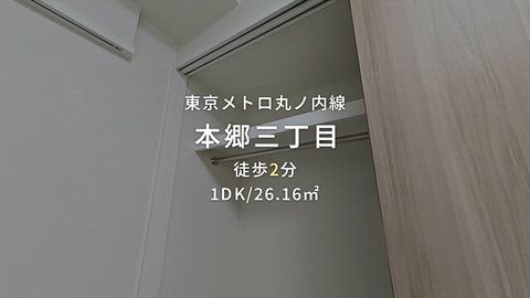 動画