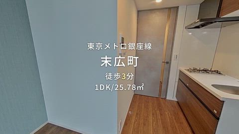 動画