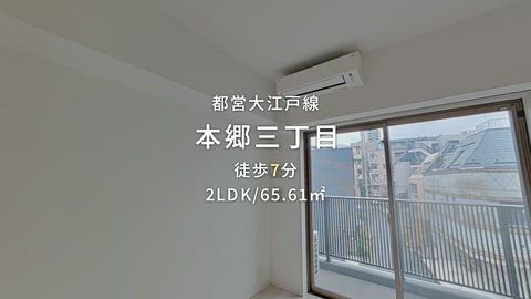 動画