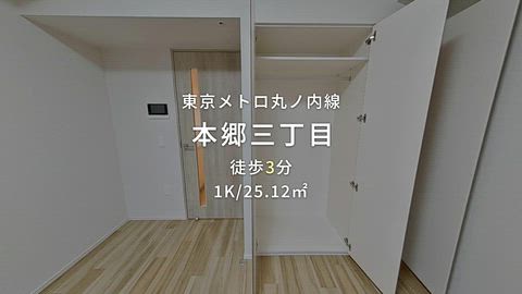 動画