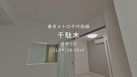 動画