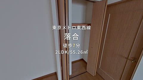 動画