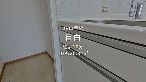 動画