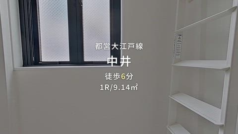 動画