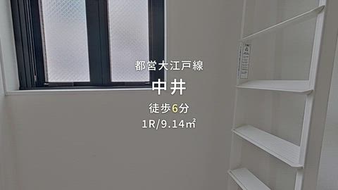 動画