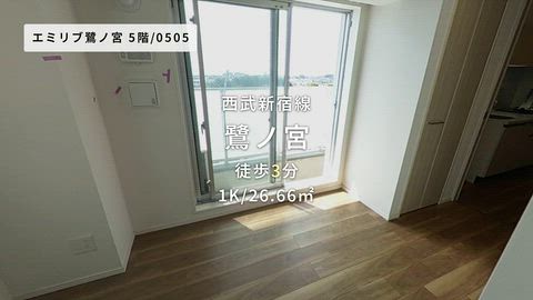 動画