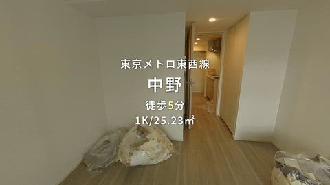 動画