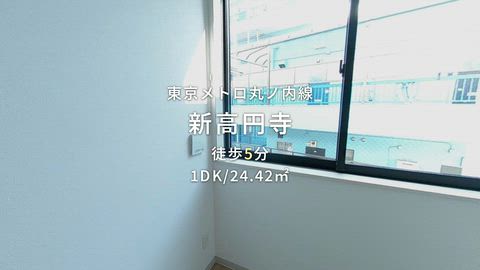 動画