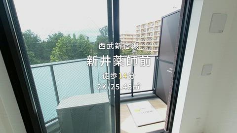 動画