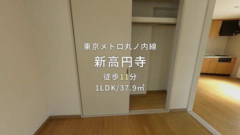 動画