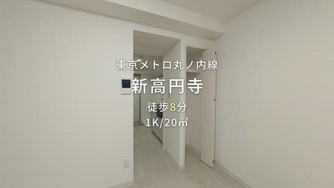 動画