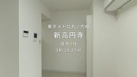動画
