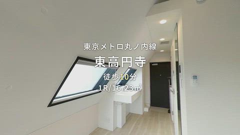 動画