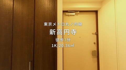 動画
