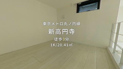 動画