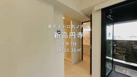 動画