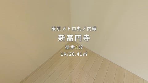 動画