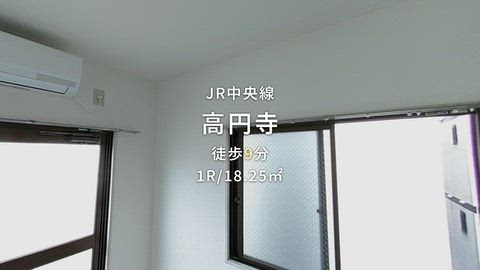 動画