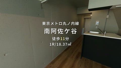 動画