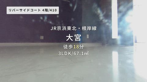 動画