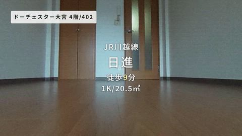 動画
