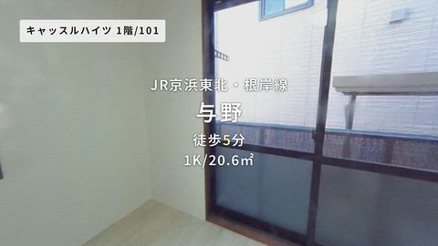 動画