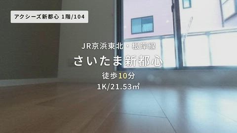 動画
