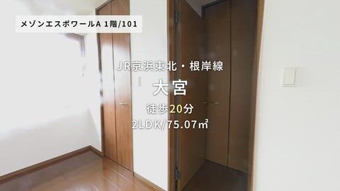動画