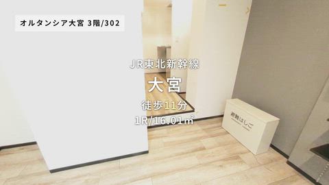 動画