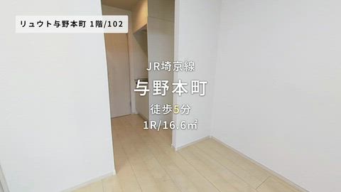 動画
